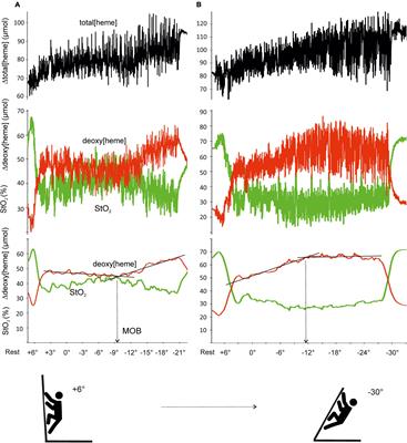 The Estimation of Critical Angle in Climbing as a Measure of Maximal Metabolic Steady State